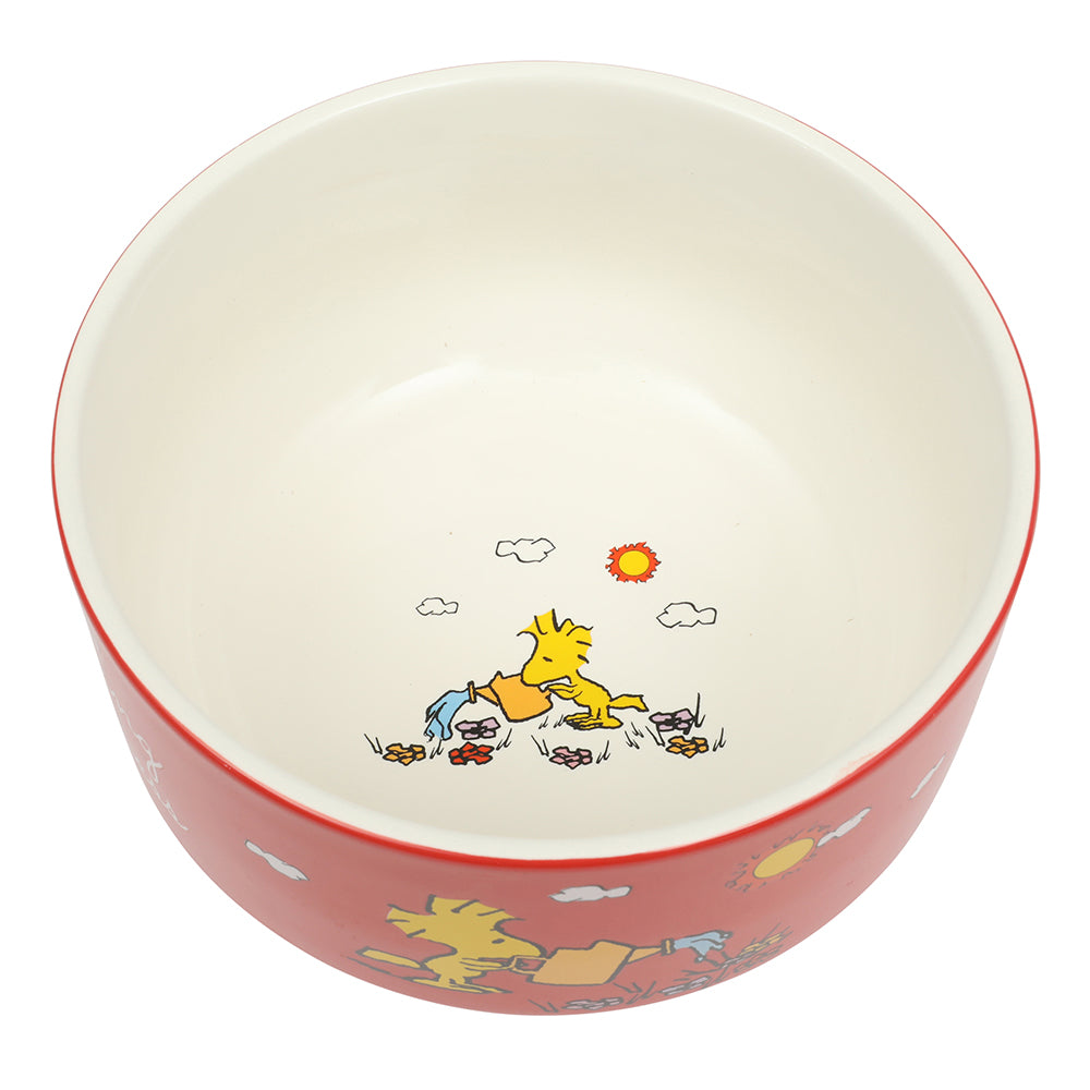 Peanuts Snoopy 6 Pack Stackable 5.5" Decorated Stoneware Bowl Set W/ Plate - Image 7